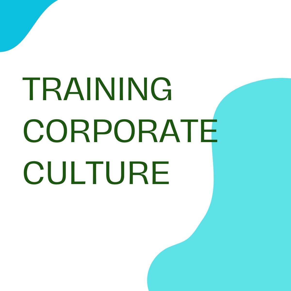 pelatihan CORPORATE CULTURE di bali
