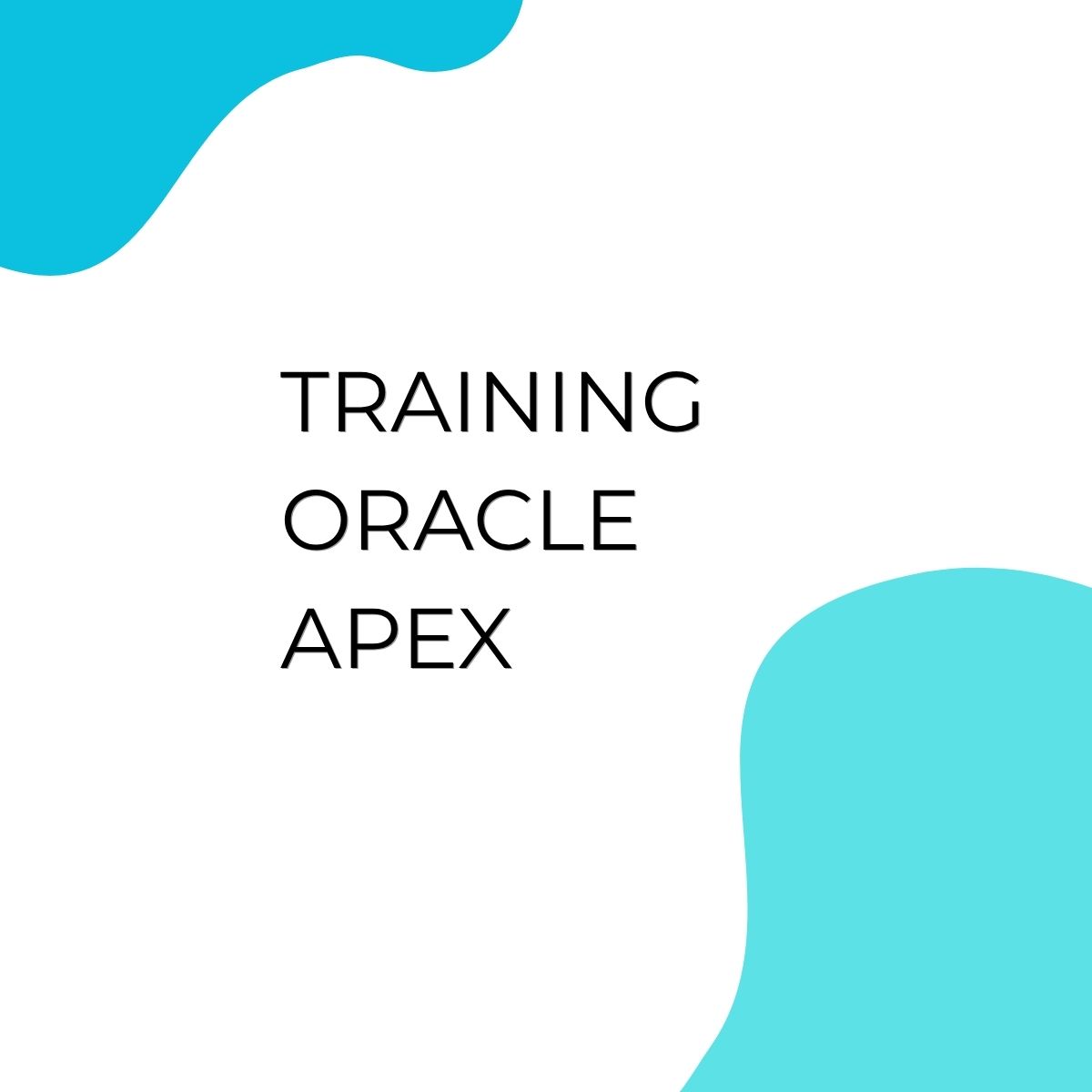 pelatihan ORACLE APEX di bali