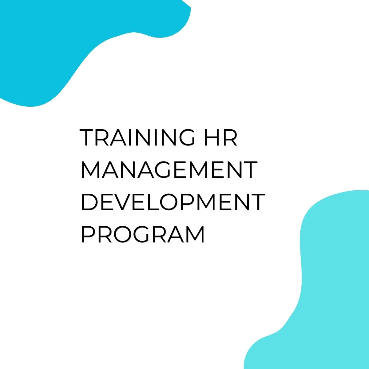 pelatihan HR MANAGEMENT DEVELOPMENT PROGRAM di bali
